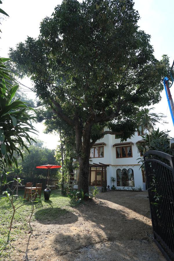 Mango Hill Inn Yangon Ngoại thất bức ảnh