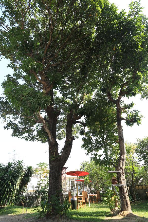 Mango Hill Inn Yangon Ngoại thất bức ảnh